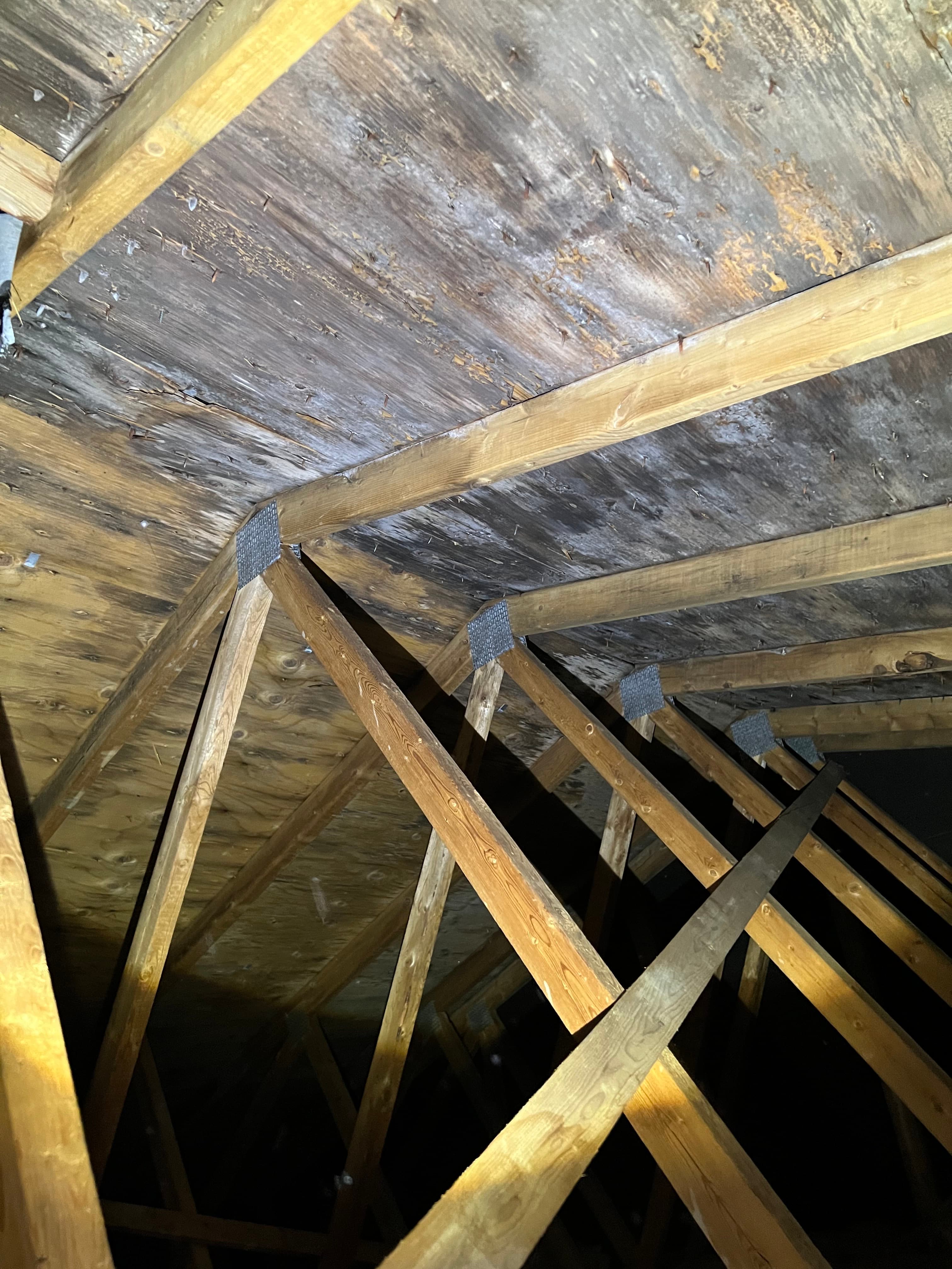 Mold decontamination